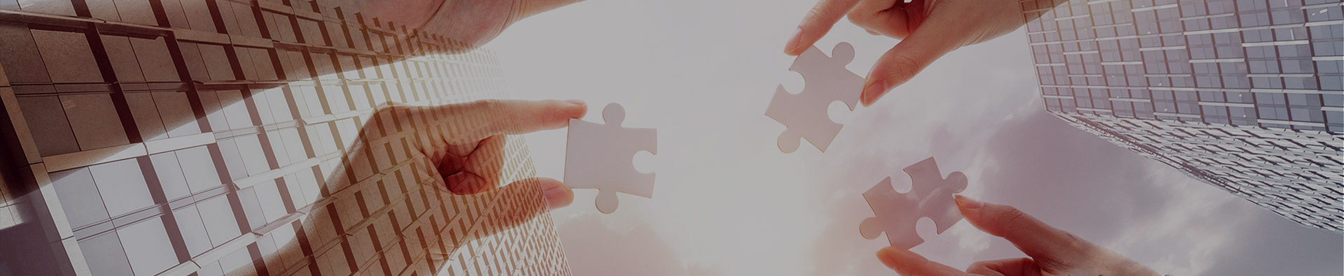 leyu·乐鱼（天津）海外矿业服务有限公司